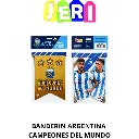 17.webp