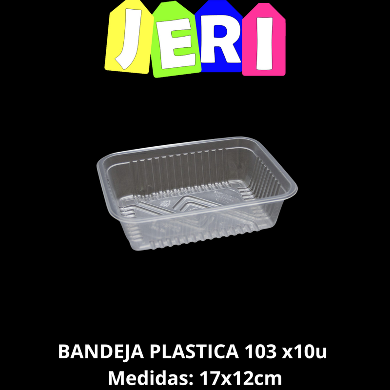 [6131] BANDEJA PLASTICA 103 x10u