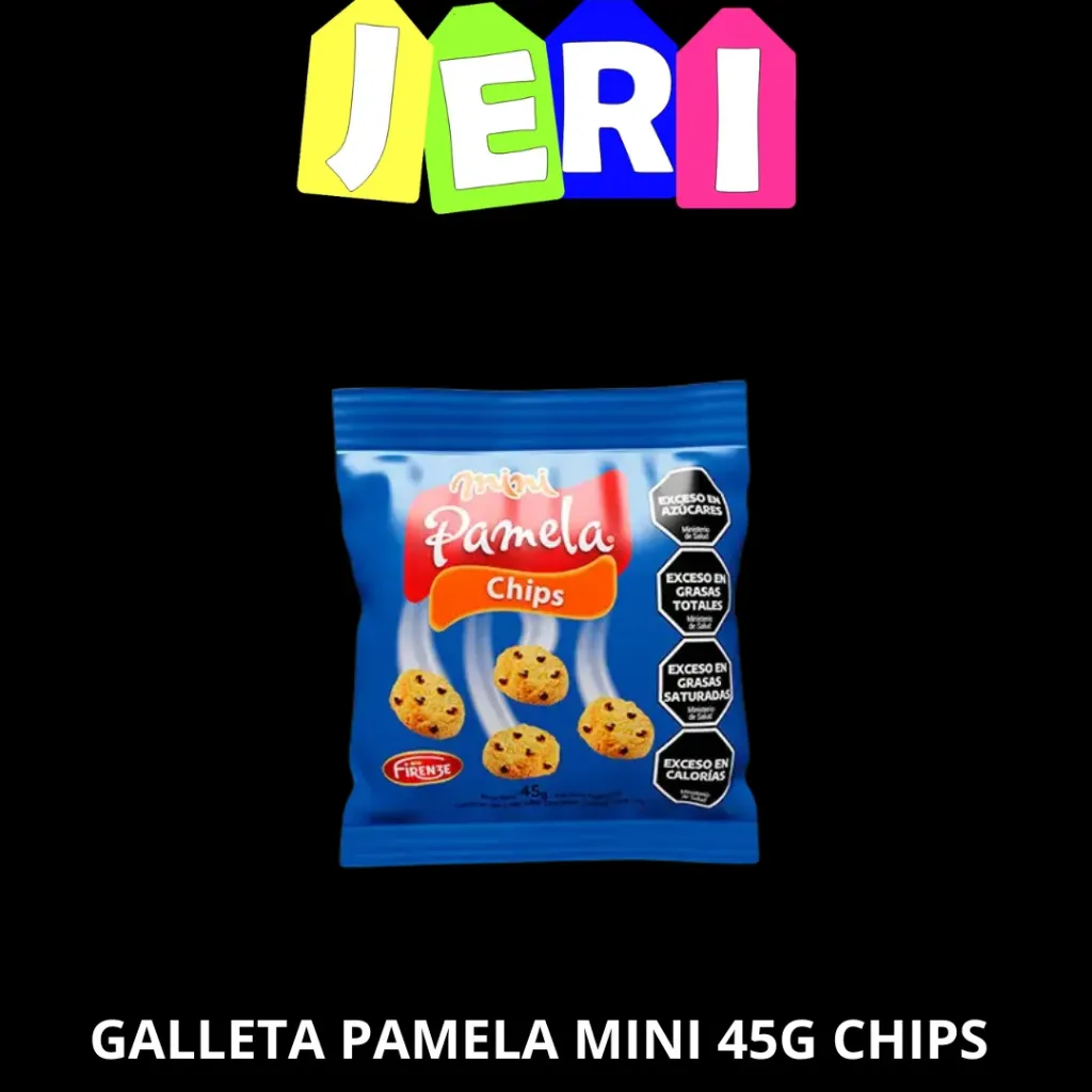 GALLETA PAMELA MINI 45G CHIPS