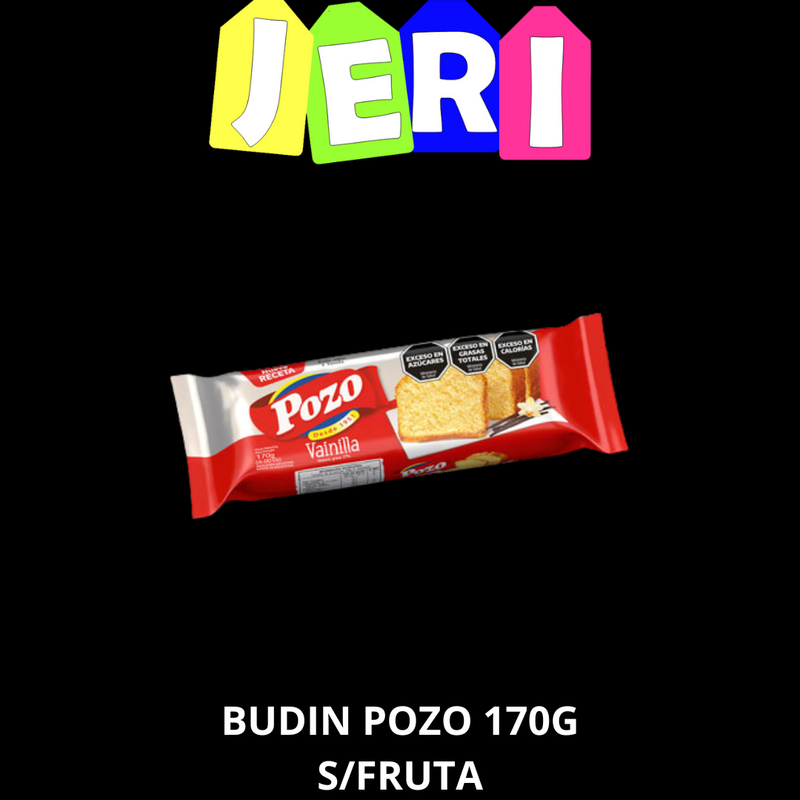 BUDIN POZO 170G S/ FRUTA