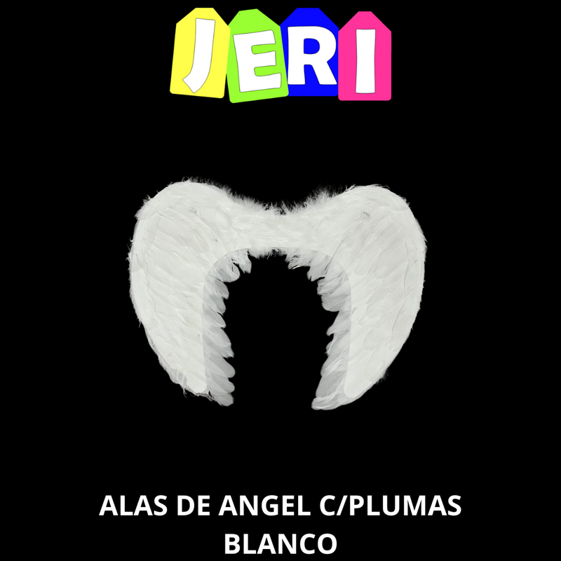 HALL ALAS DE ANGEL C/ PLUMAS