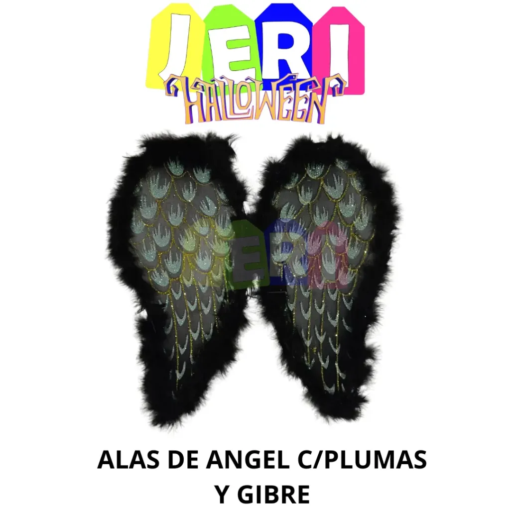 HALL ALAS DE ANGEL C/ PLUMAS Y GIBRE