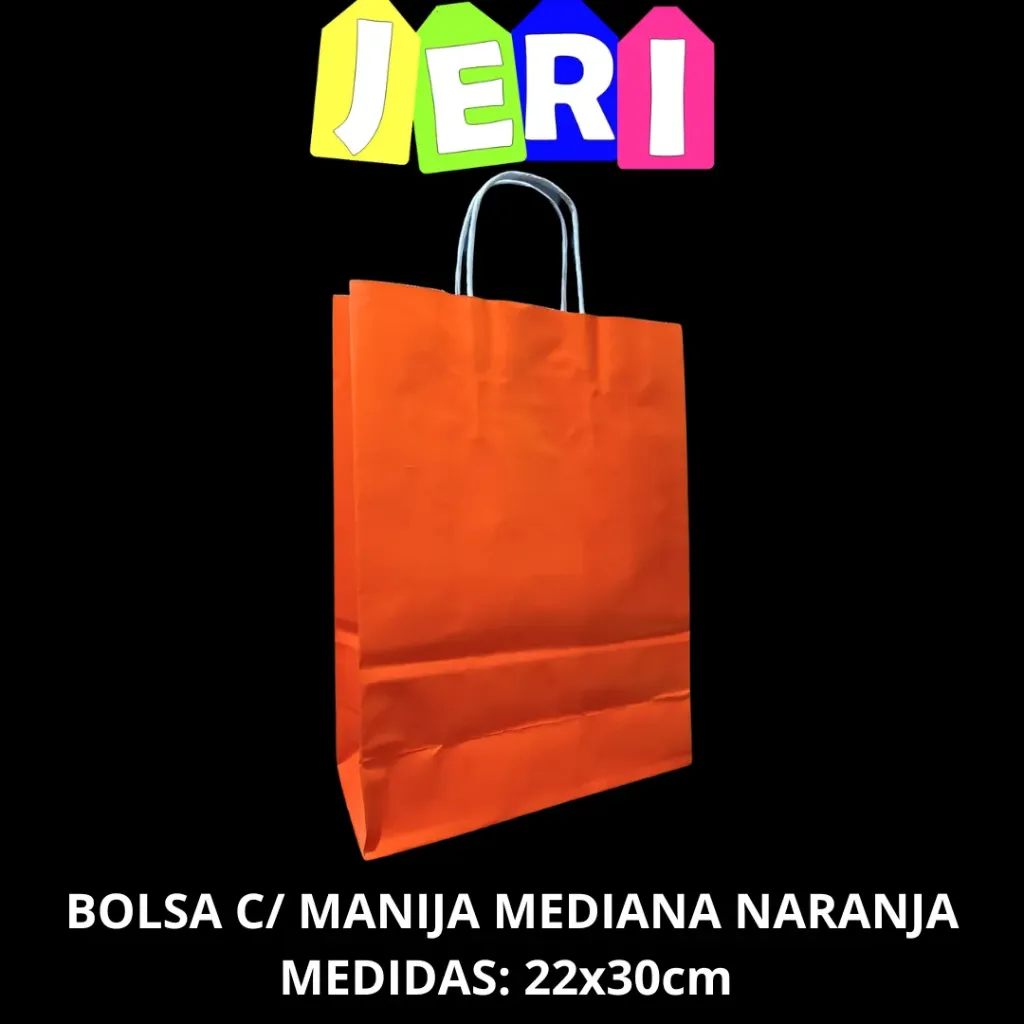 BOLSA C/ MANIJA MEDIANA